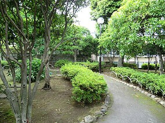 周辺環境:中町...