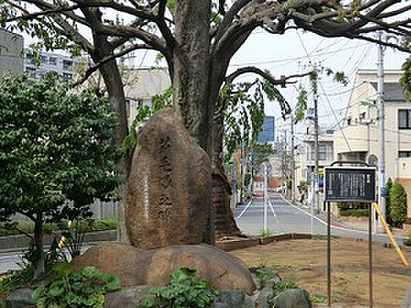 祐天寺第二コーポラス