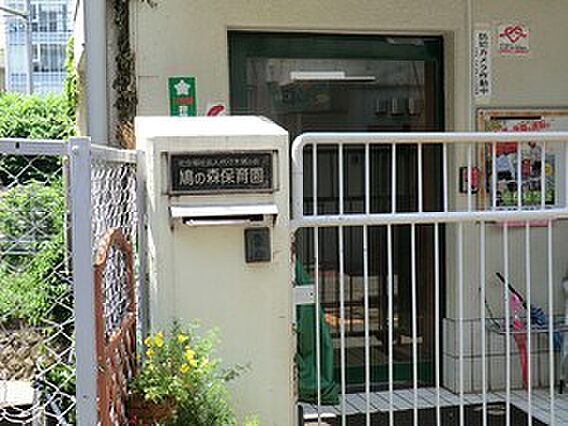 周辺環境:鳩の...
