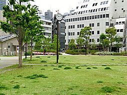 南桜公園