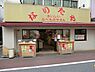 周辺：周辺環境:ナリタヤ