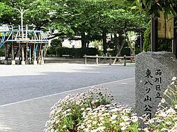 周辺環境:東八ツ山公園