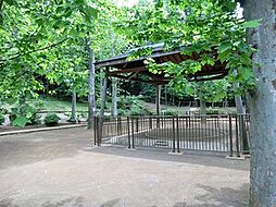氷川の杜公園