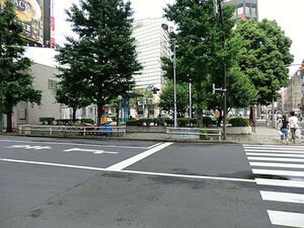 周辺を拡大表示