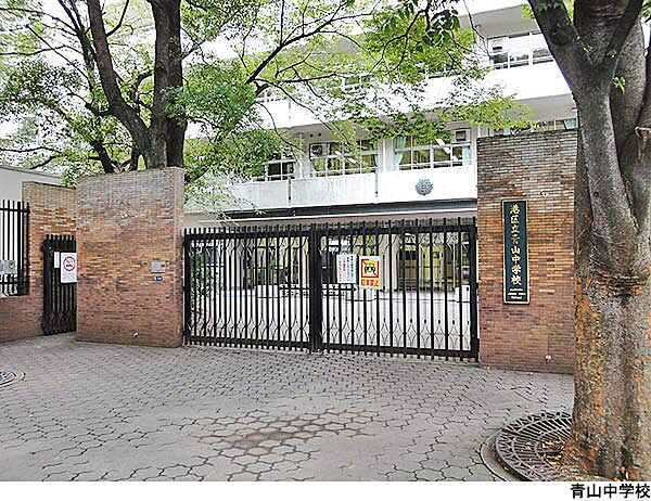 周辺を拡大表示