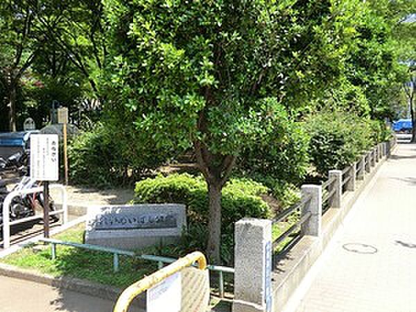 周辺 ベイシティ晴海スカイリンクタワー 3階/-