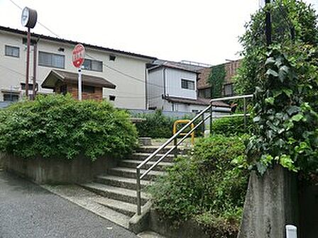 周辺環境:氷川つるかめ公園