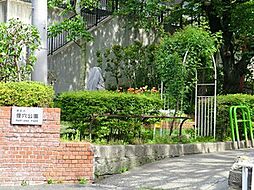 周辺環境:狸穴公園