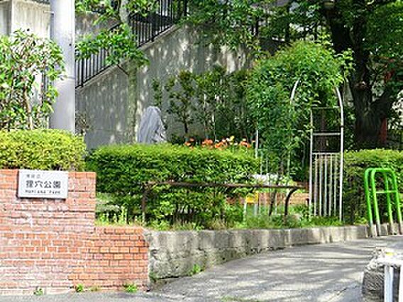 狸穴公園