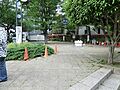 池袋ふれあい公...