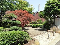 周辺環境:しいのき公園