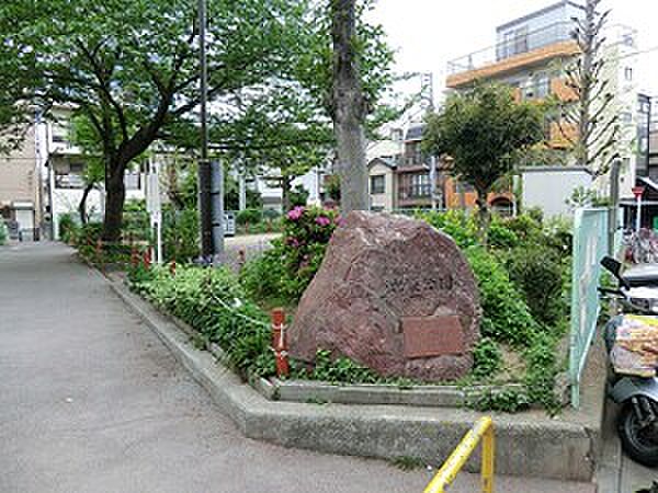 周辺を拡大表示