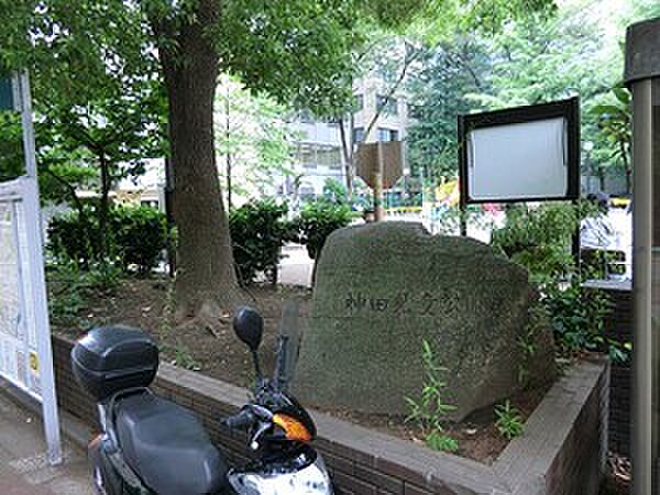 周辺を拡大表示