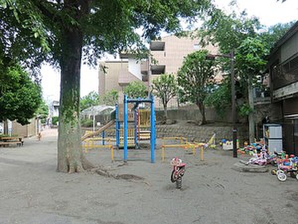 周辺を拡大表示