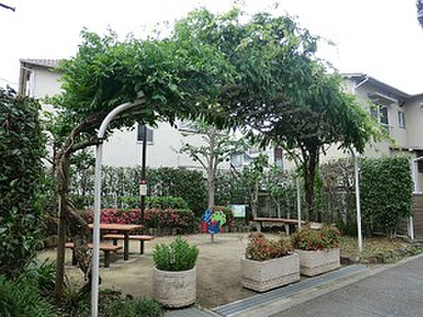 周辺を拡大表示