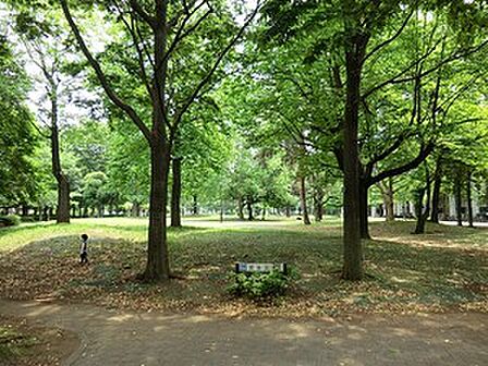 周辺環境:戸山公園