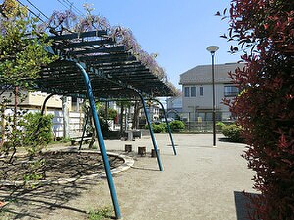 周辺を拡大表示