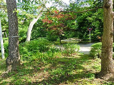 周辺環境:清水谷公園