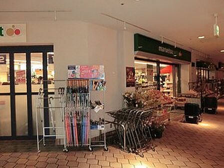 周辺環境:マルエツ晴海店