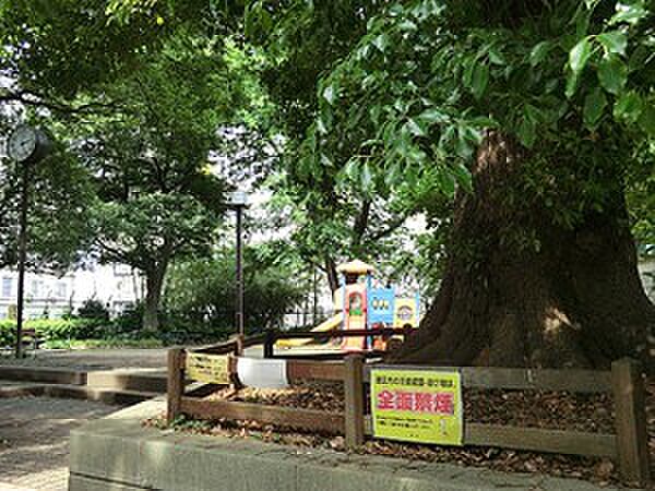 周辺を拡大表示