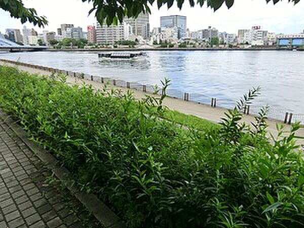 周辺を拡大表示