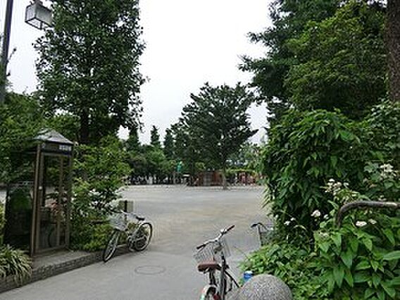 周辺環境:鶴巻...