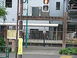 周辺環境:中ノ橋児童遊園