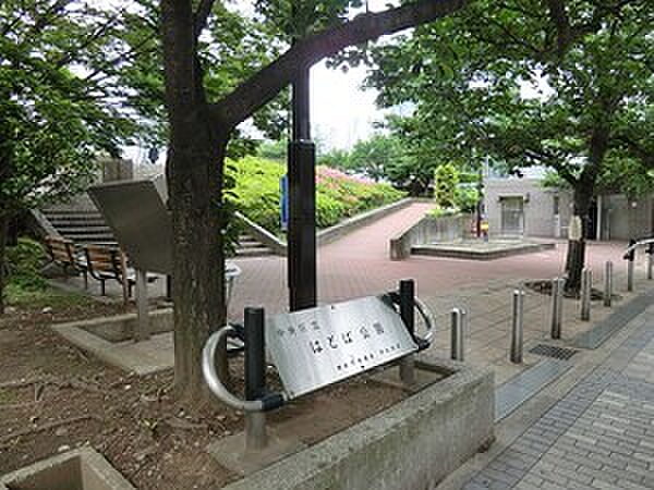 周辺を拡大表示