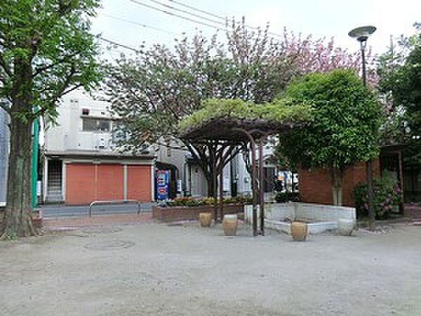周辺を拡大表示
