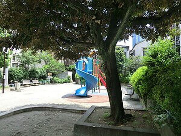 周辺を拡大表示