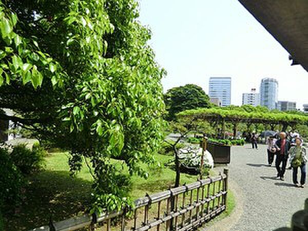 周辺を拡大表示