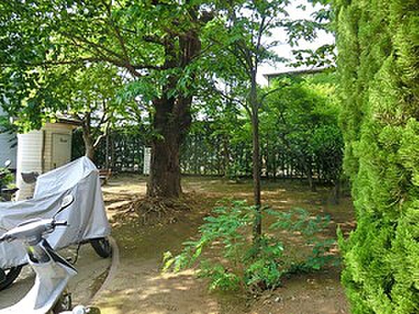 周辺を拡大表示