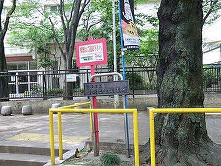 若羽児童遊園地