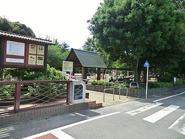 周辺を拡大表示