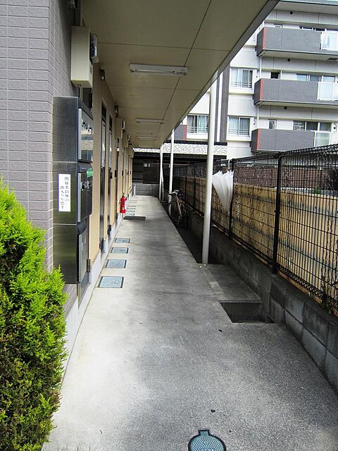 5 / 9