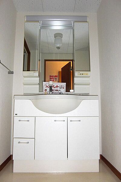 画像10:室外物置洗面室には三面鏡のシャワードレッサー付。
