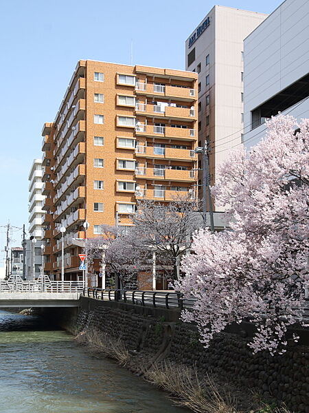 画像19:春には儀明川沿いの小彼岸桜が楽しめます