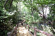 滝の根公園