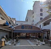 ルミエール鴻池新田  ｜ 大阪府東大阪市三島２丁目（賃貸アパート1LDK・1階・28.56㎡） その4