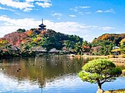 三溪園まで780m