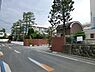 周辺：のぞみ幼稚園まで1796m