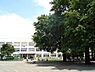 周辺：大和市立大和小学校まで318m