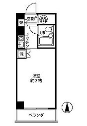 ルセアン白妙