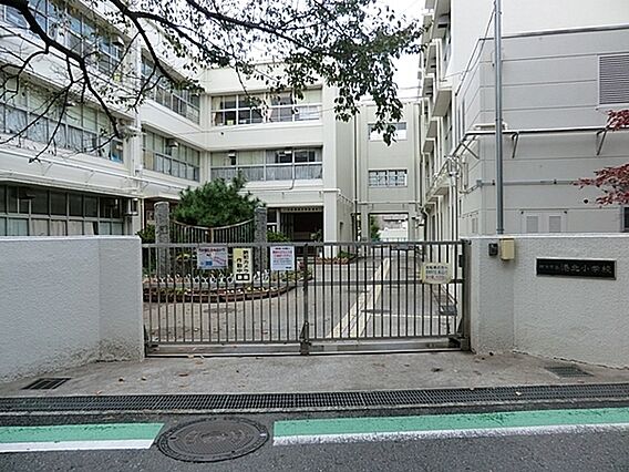 横浜市立港北小...