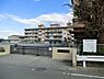周辺：横浜市立東本郷小学校まで550m
