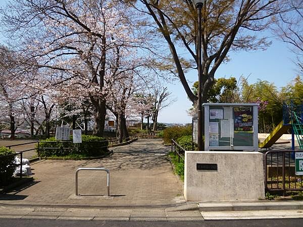 周辺を拡大表示