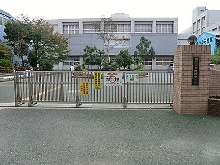 横浜市立寛政中学校まで1400m