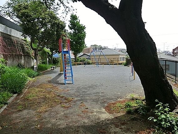 松本公園まで1...