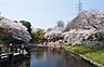 周辺：岸根公園まで750m