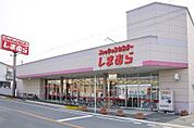 ファッションセンターしまむら戸ヶ崎店まで1007m